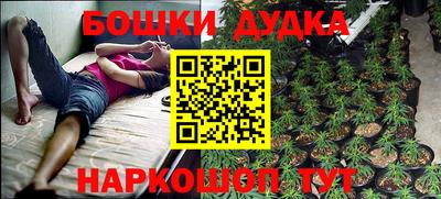 мдпв Гусь-Хрустальный