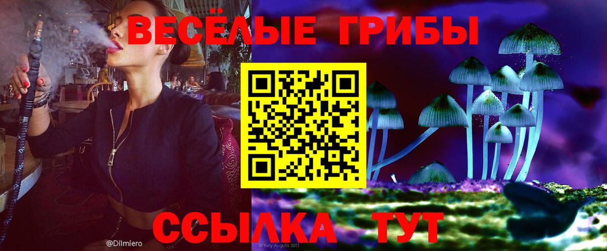 Железногорск  Галлюциногенные грибы Magic Shrooms  Вход с VPN 