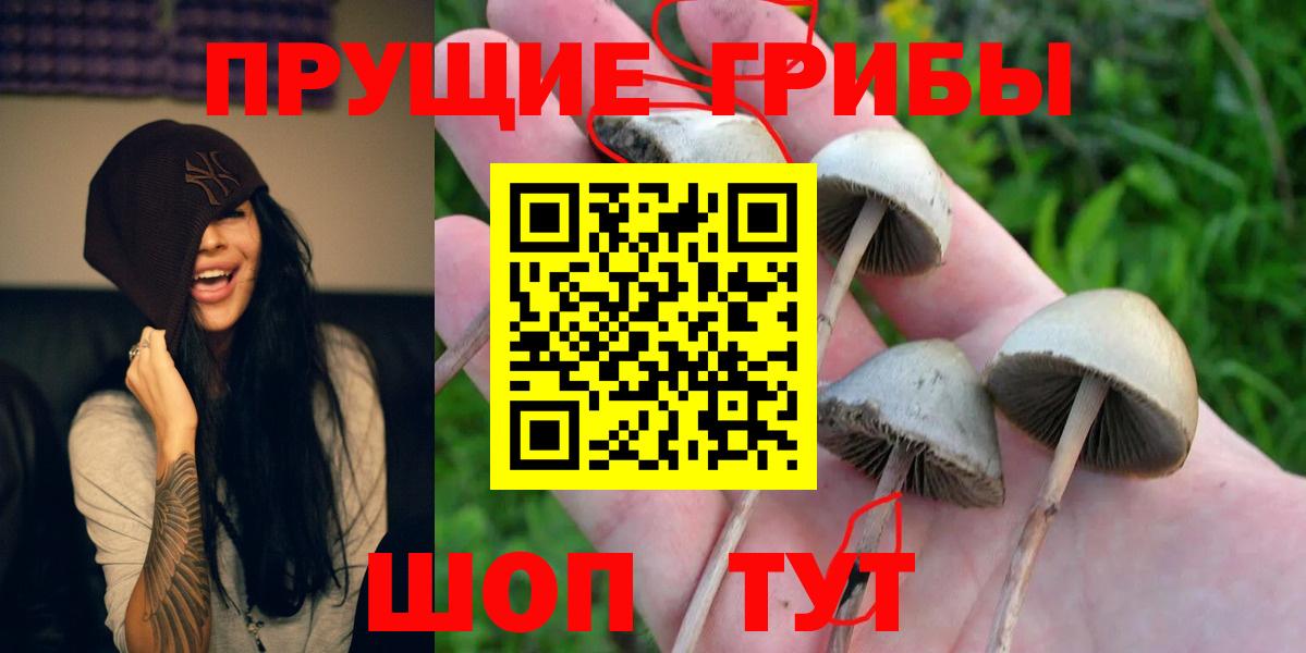  COCAIN Железногорск